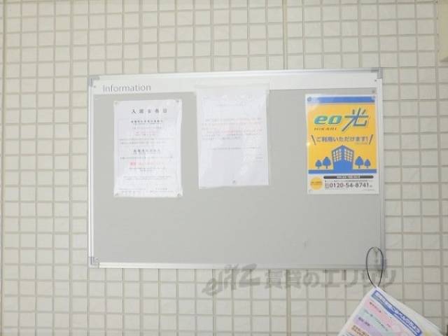 掲示板