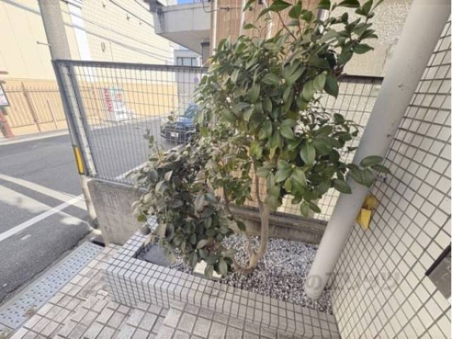 植栽