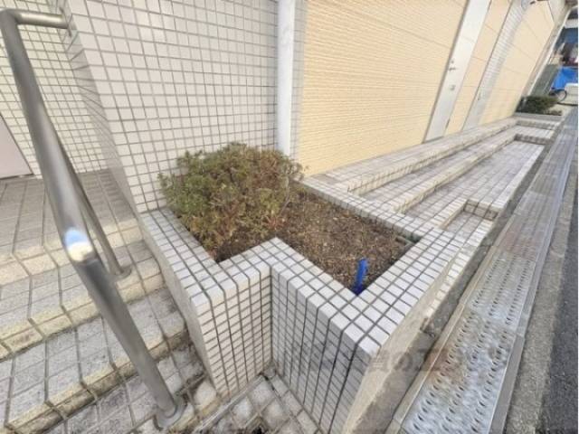 植栽