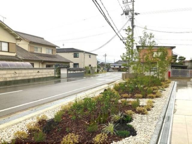 植栽