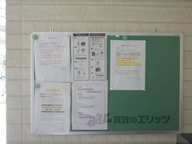 掲示板
