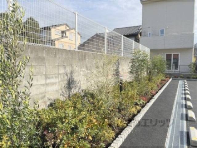 植栽