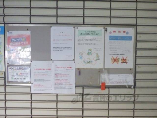 掲示板