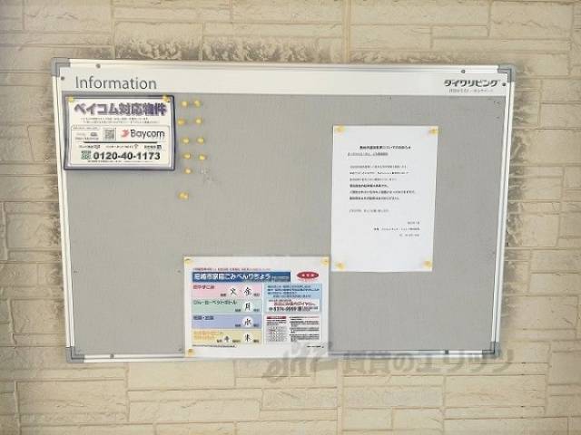掲示板