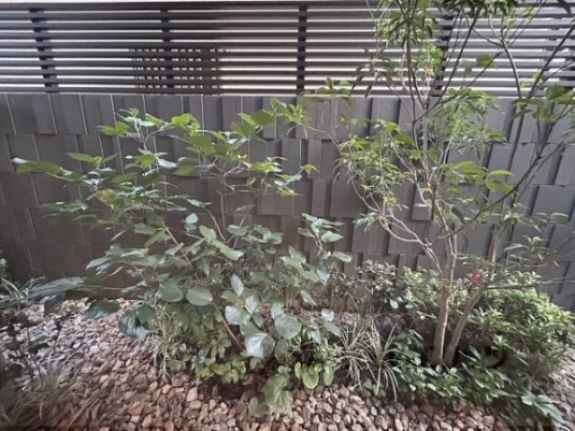 植栽