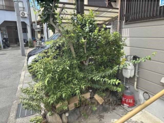 植栽