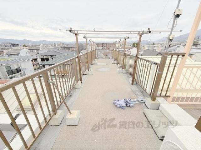 屋上