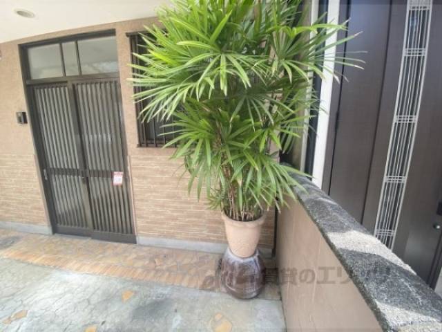 植栽