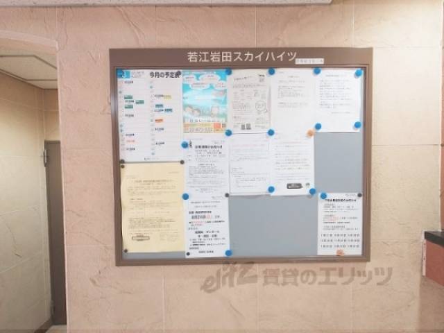 掲示板