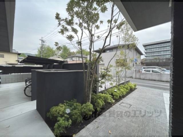植栽