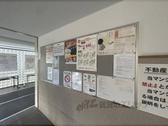 掲示板