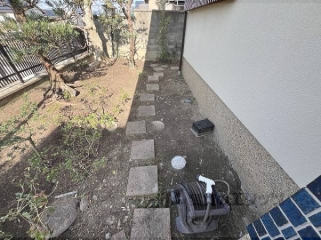 植栽