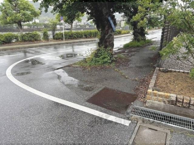 前面道路