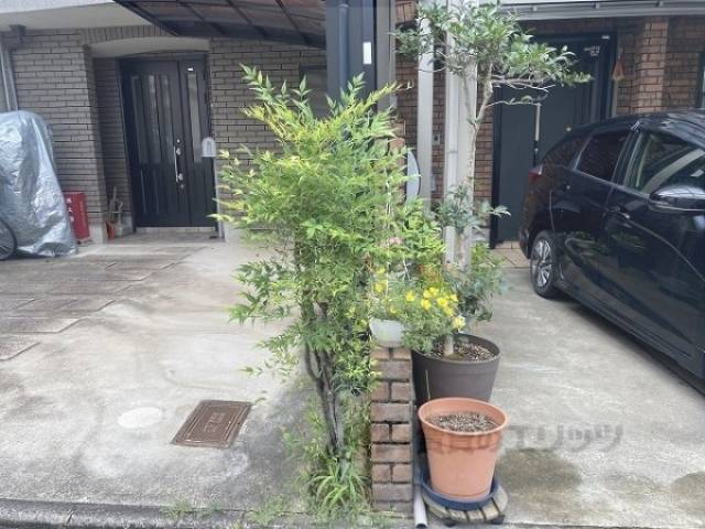 植栽