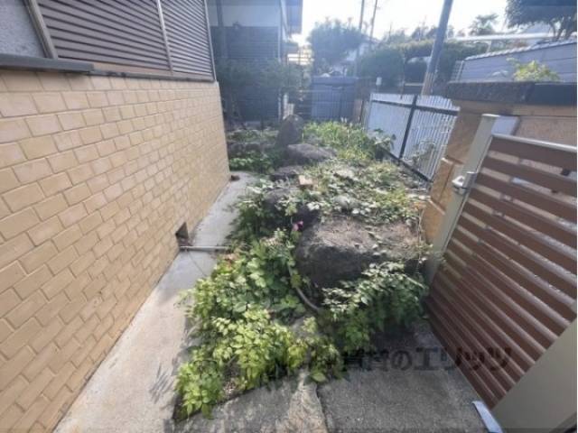 植栽
