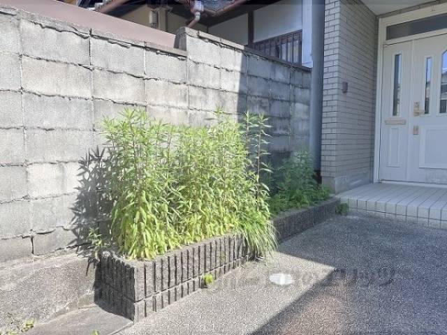 植栽