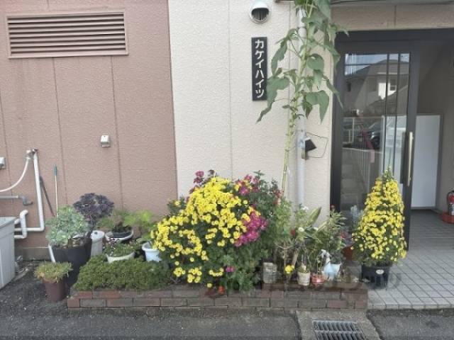 植栽