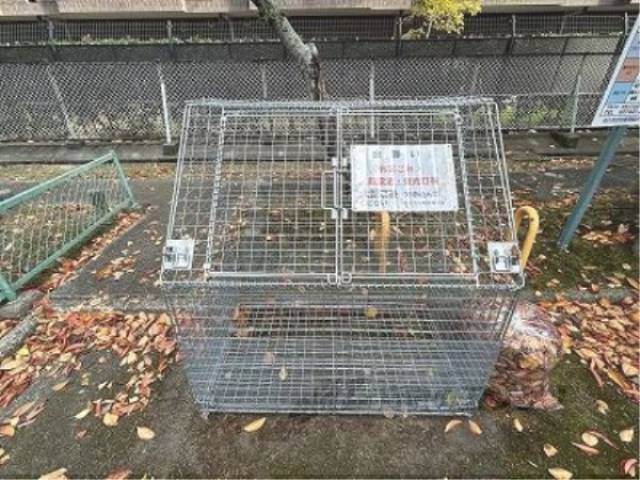 ゴミ置き場