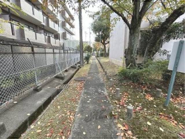通路