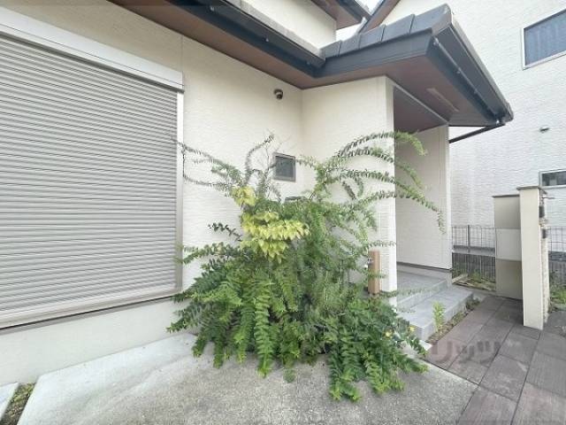 植栽