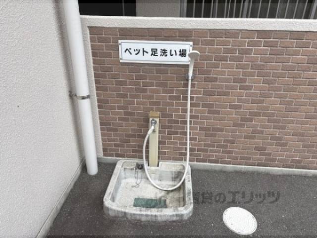 ペット足洗い場