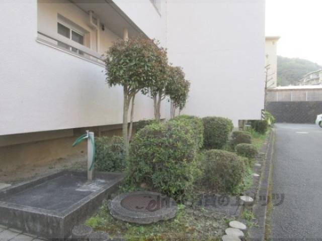 植栽