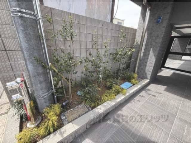 植栽