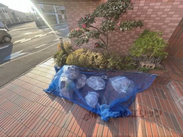 ゴミ置き場