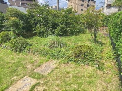 植栽