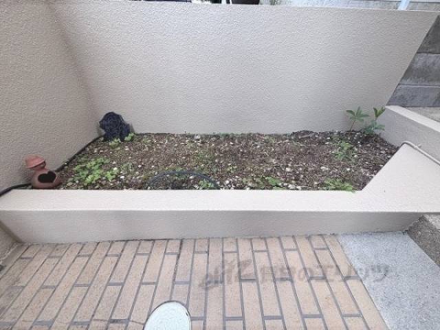 植栽