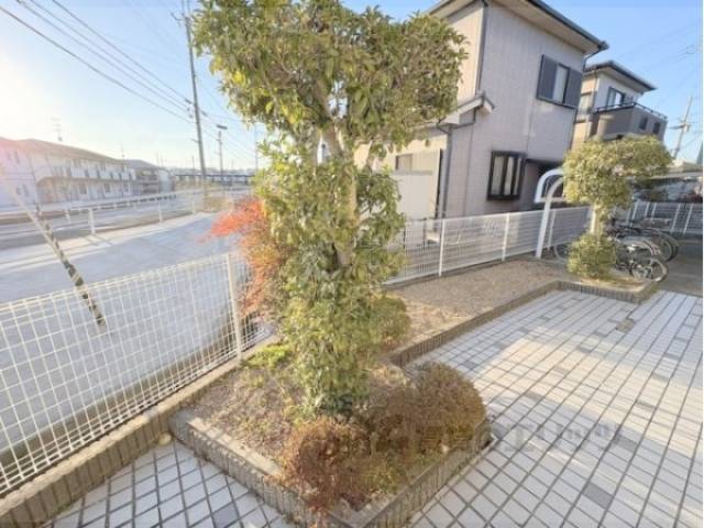 植栽