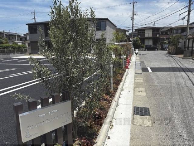 植栽