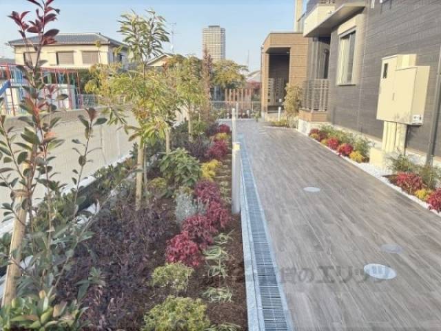植栽