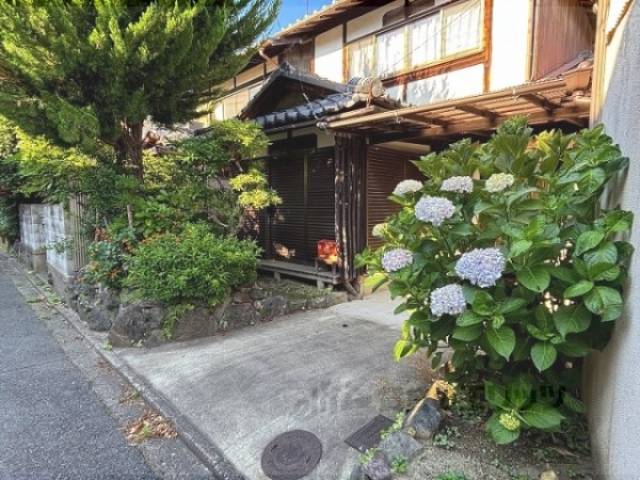 植栽