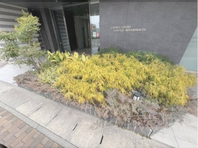 植栽