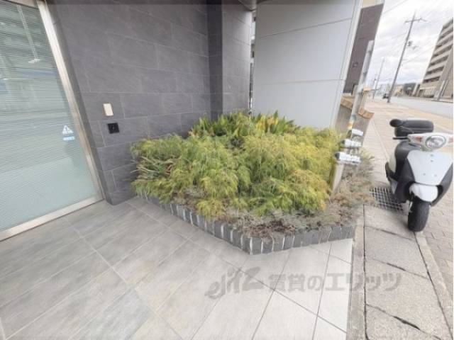 植栽