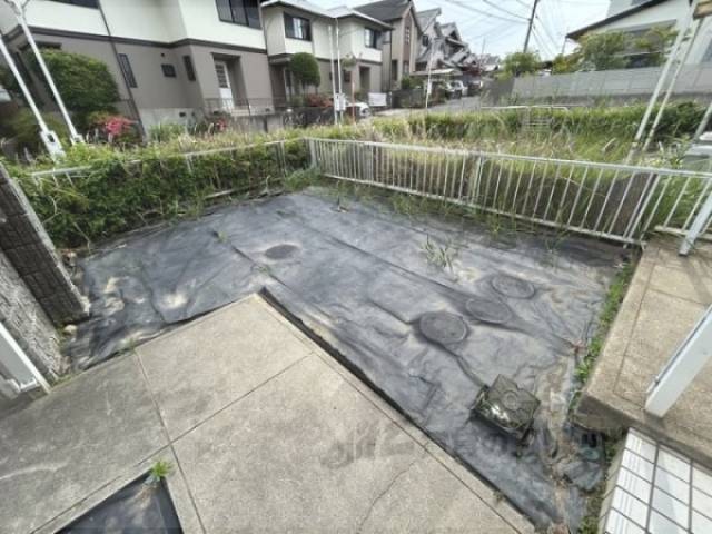 庭