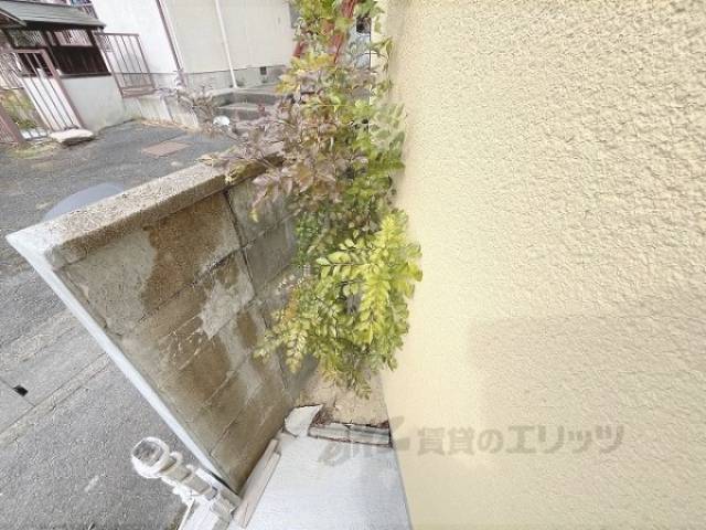 植栽