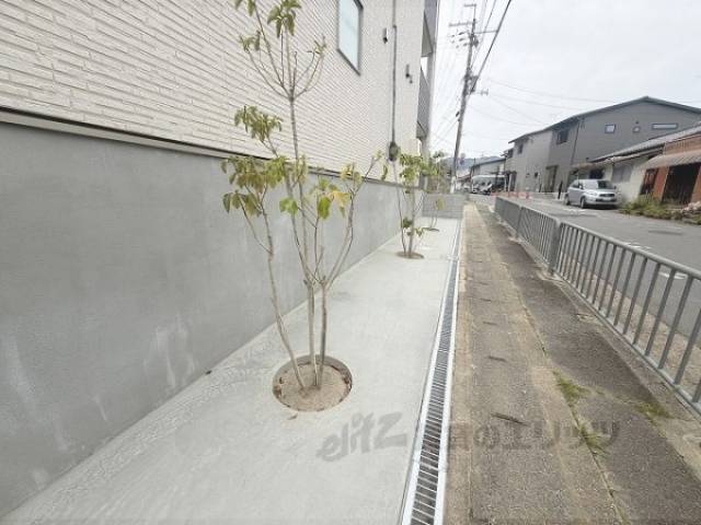 植栽