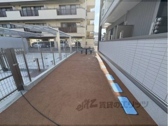 ドッグラン