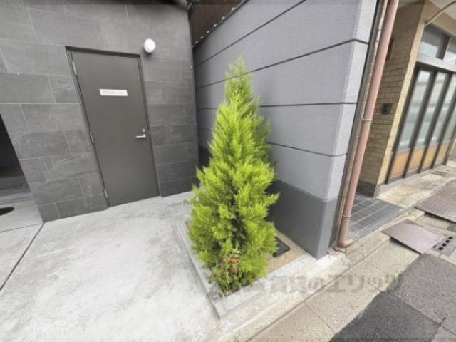 植栽
