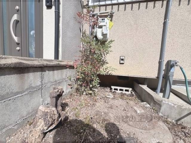 植栽