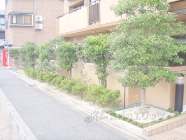 植栽