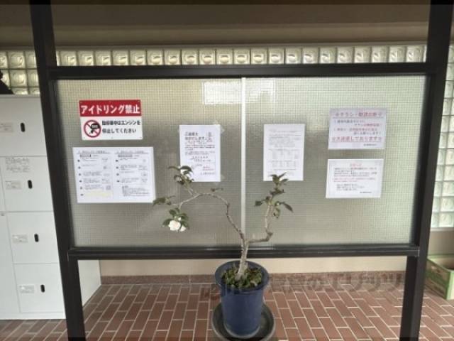 掲示板