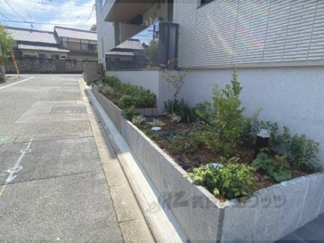 植栽
