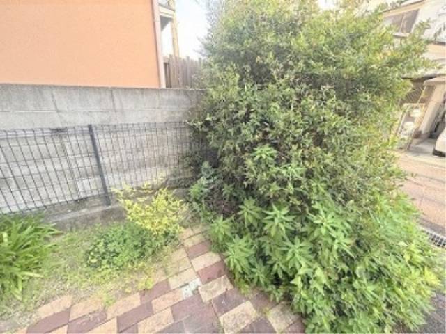 植栽