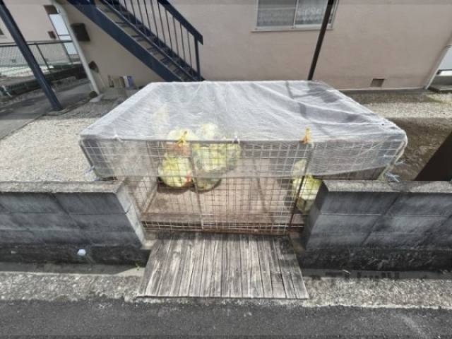ゴミ置き場