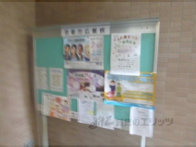 掲示板