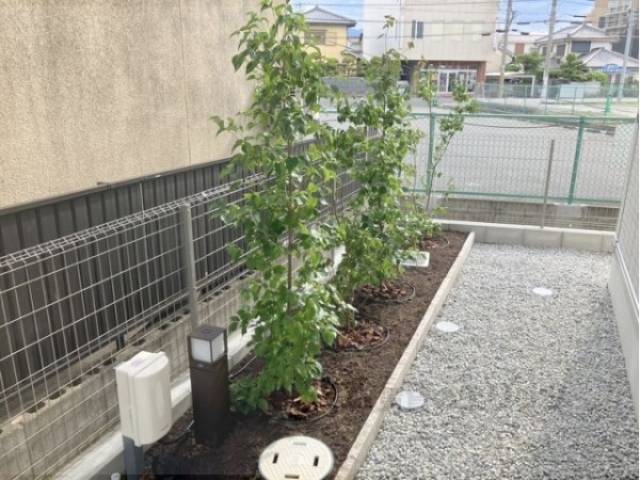 植栽