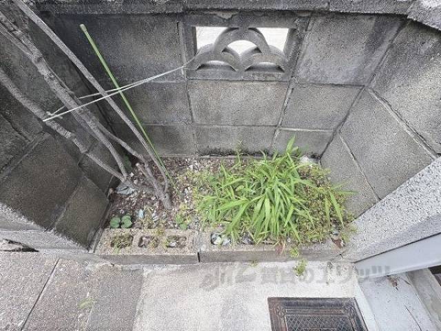 植栽